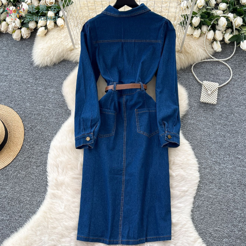 Elegant Women's Denim Dress So - огляд і ціна Women Fashion Jeans